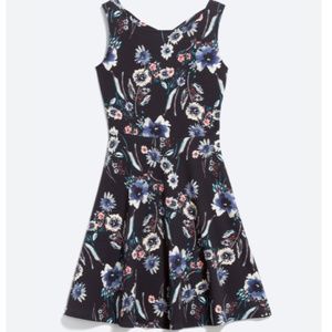 Stitch Fix KAILEIGH Feya Knit Dress M | Navy